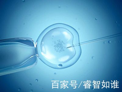 供卵机构电话